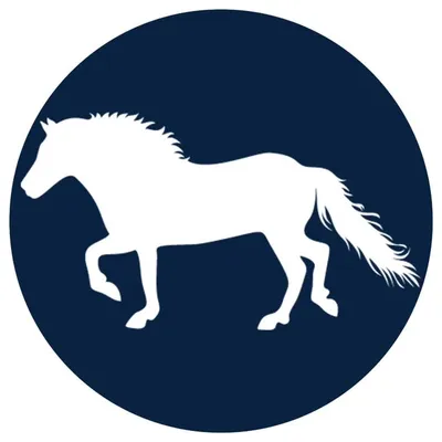 SIE TACK profile