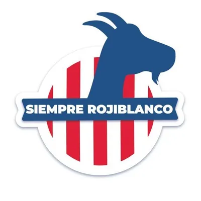 Chivas De Guadalajara❤️💙 profile