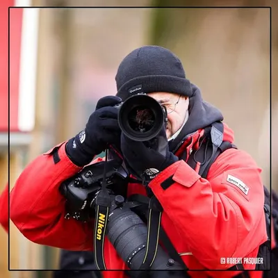 Serge Signore profile
