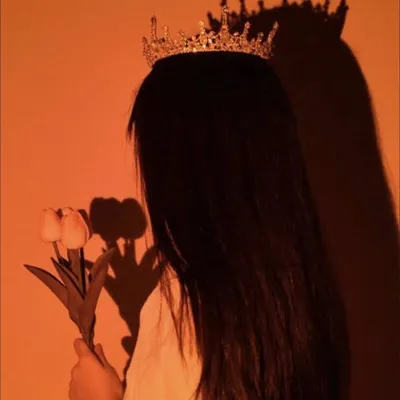 ๐.๐ฉ โก profile