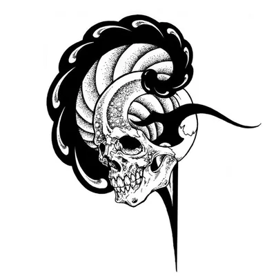 SILVER GEEKS / シルバーギークス profile