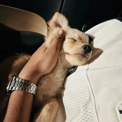 Λ V profile