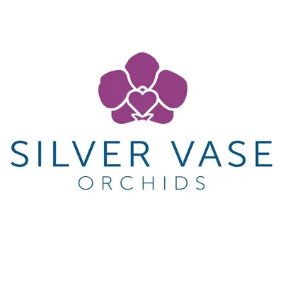 Silver Vase Orchids profile