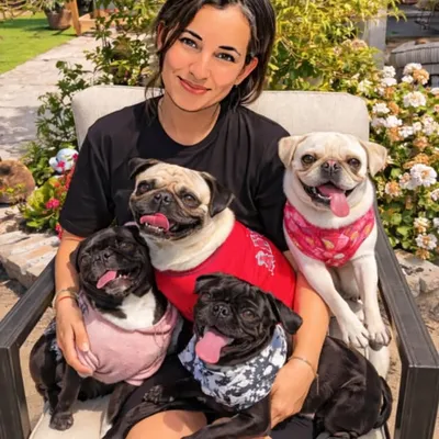 Simba ,Nala ,Olaf,Peewee pug family profile