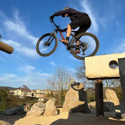 Simon Rogier profile