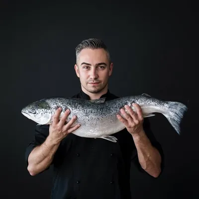 Simon Kolar profile