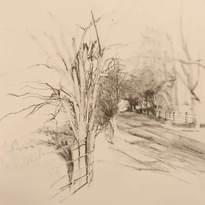 Simon Pressinger profile