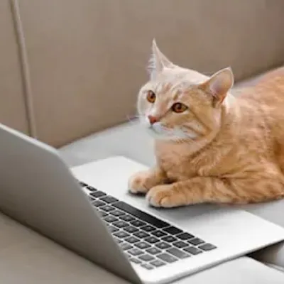๐คฃ Simply Funny Vids ๐ profile