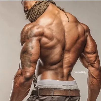 Simplyshredded.com profile