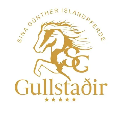 Sina Günther profile