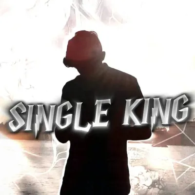 🔥single king 👑 profile