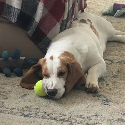 Winston profile