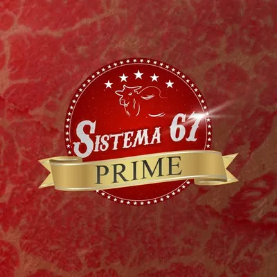 SISTEMA 67 PRIME profile