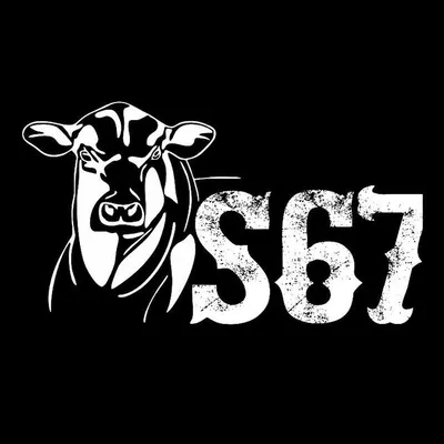 S67 STORE profile
