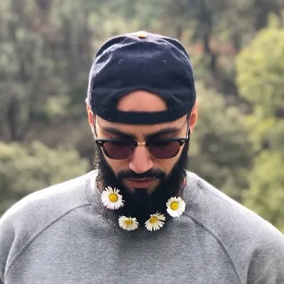Skander profile