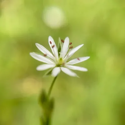 S Karmala Photography profile
