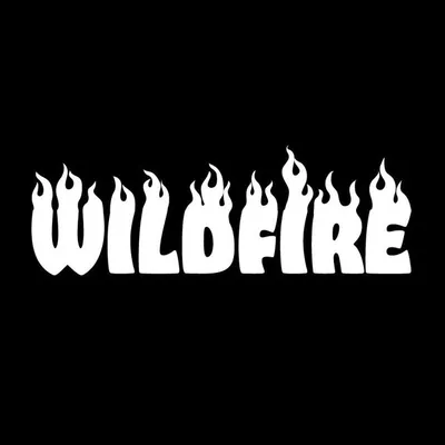 Wildfire Skateboarding profile