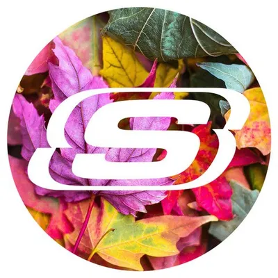 Skechers Bangladesh profile