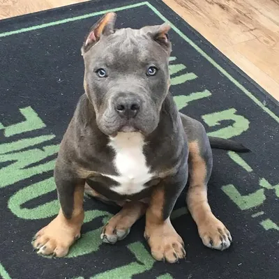 Skittlez🌈 profile