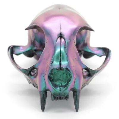 marisa rand - skullery® profile