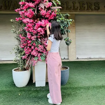 profile