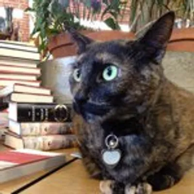 Skylight Books profile