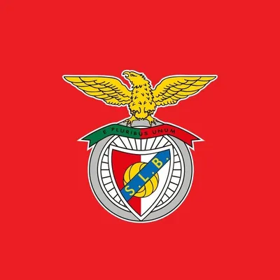Sport Lisboa e Benfica profile