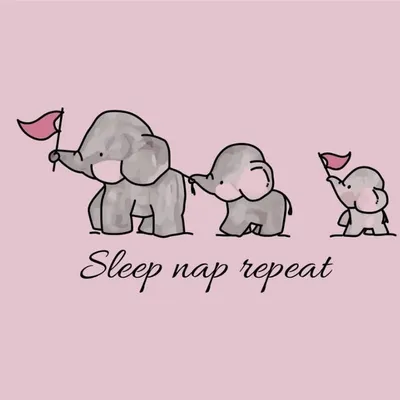 Sleep Nap Repeat profile