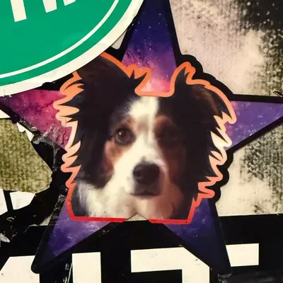 đź’¤scottstevensđź’¤ profile