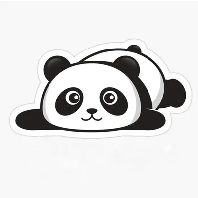 slimmypanda ๐ profile
