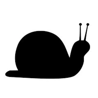 slowwwwwlife profile
