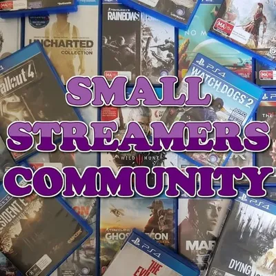 #SmallStreamersCommunity profile