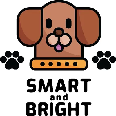 Smart and Bright profile