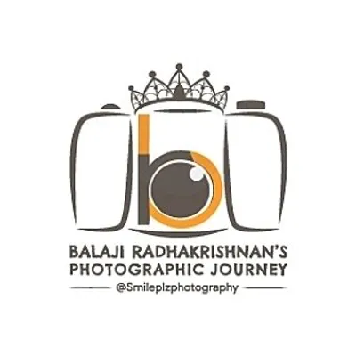 Balaji Radhakrishnan - Visual Artist profile