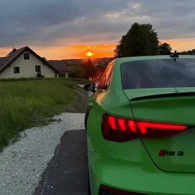 Mario Jauer profile