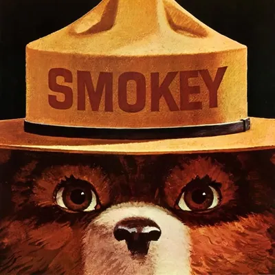 Smokey Bear profile