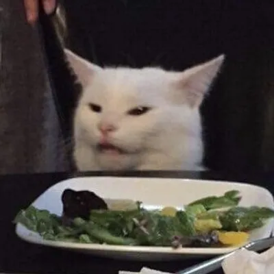 Smudge - Table Cat
