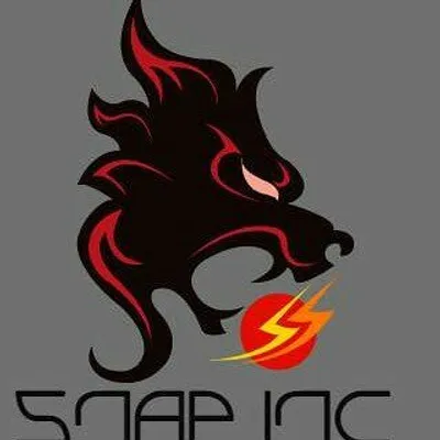Snap.inc Gaming profile