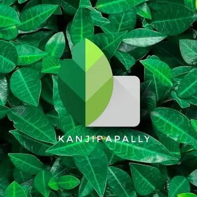 Snapseed_kanjirapally profile