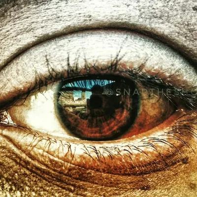 Captured Moments profile