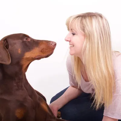 Linda Mulvey Photography profile