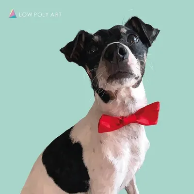 Snoopy Oddie profile