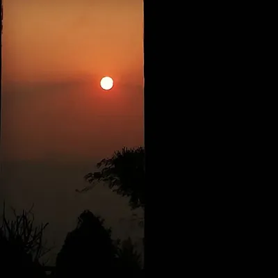 सेतो गुराँस profile