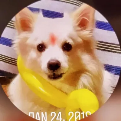 Snowfy Maddi profile