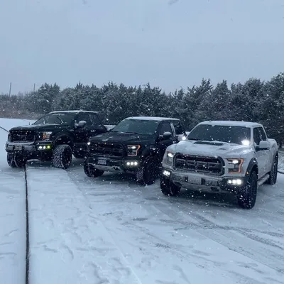 Snow Hooligans profile