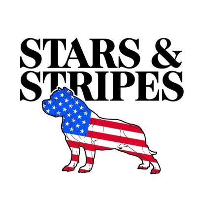 🇺🇸 Stars & Stripes Bullies™️ profile