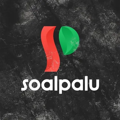 palu sulawesi tengah profile
