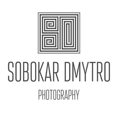 Wedding Photographer Dmytro Sobokar profile