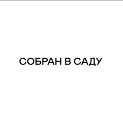 Интерьерные букеты•Сезонные цветы• Винтажные вазы•Доставка profile