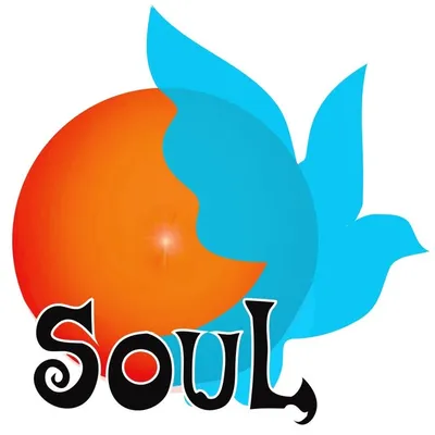 SOUL- NGO profile
